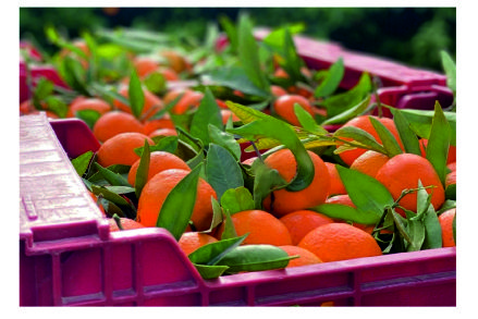 Free HTML5 Website Template by FreeHTML5.co