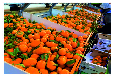 Free HTML5 Website Template by FreeHTML5.co