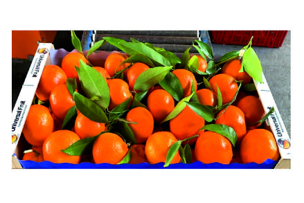 Free HTML5 Website Template by FreeHTML5.co