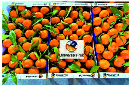 Free HTML5 Website Template by FreeHTML5.co