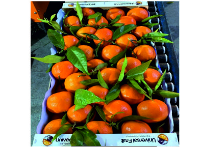 Free HTML5 Website Template by FreeHTML5.co