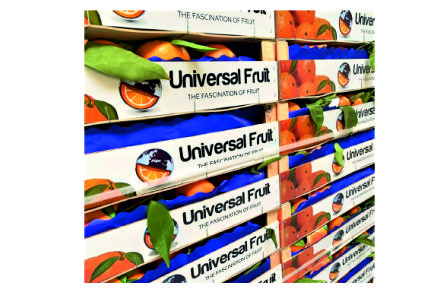 Free HTML5 Website Template by FreeHTML5.co