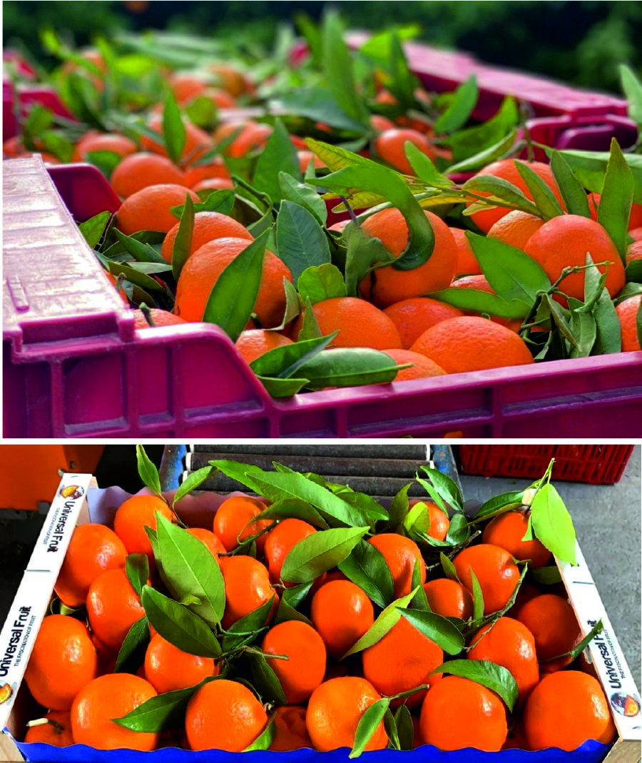 Free HTML5 Bootstrap